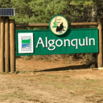 Algonquin Sign